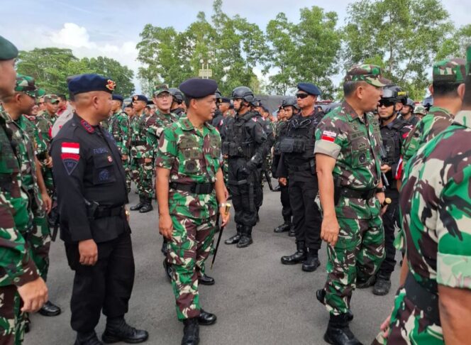 
					DANLANAL BINTAN HADIRI APEL GELAR PASUKAN DALAM RANGKA KUNJUNGAN KERJA WAKIL PRESIDEN RI DI TANJUNG PINANG