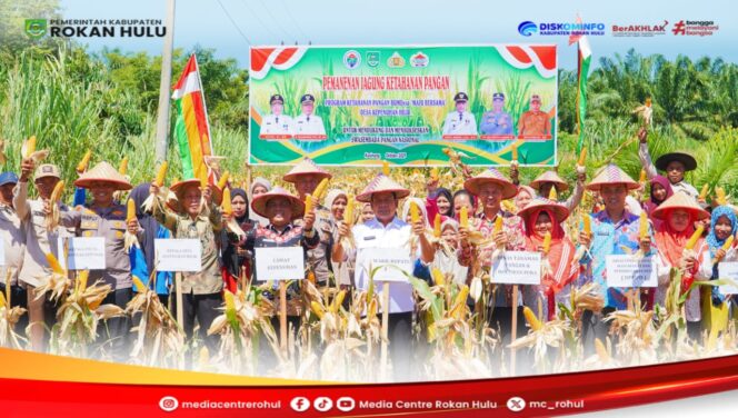 
					Dukung Program Ketahanan Pangan Nasional, Wabup Syafaruddin Poti Hadiri Kegiatan Panen Jagung BUMDes Maju Bersama Desa Kepenuhan Hilir